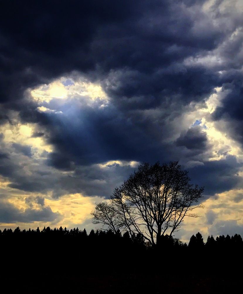 Сквозь тучи, солнца луч пробился!