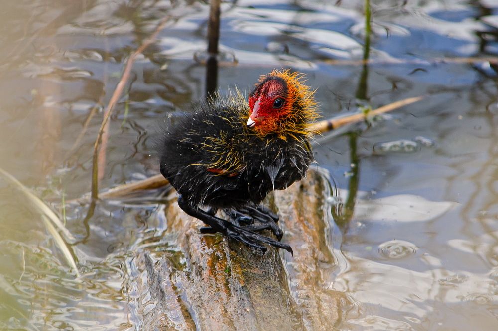 Photograph by Оксана Маховская