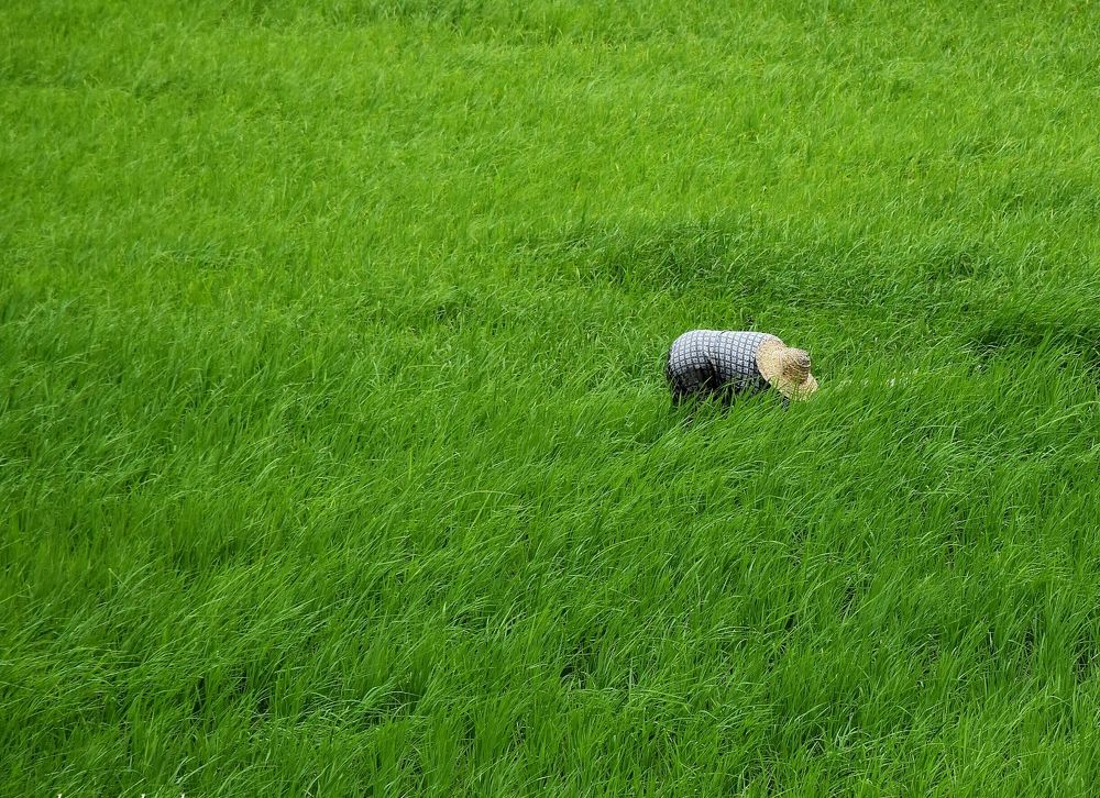 Photograph by seyyed mohammad andy