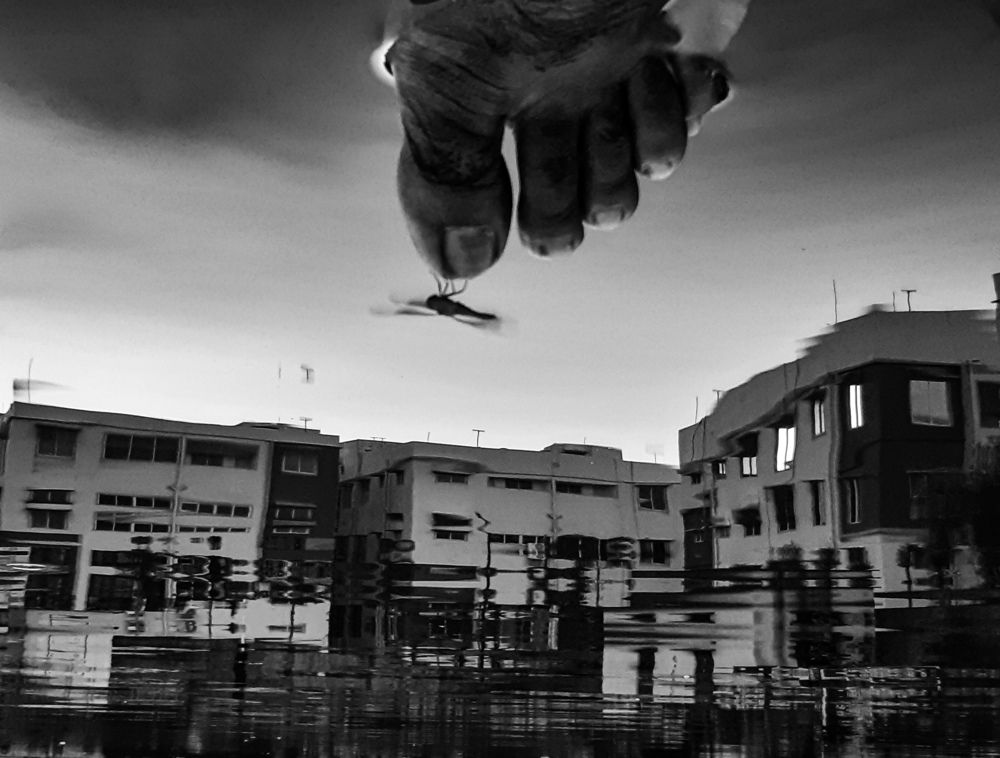 The building of trust