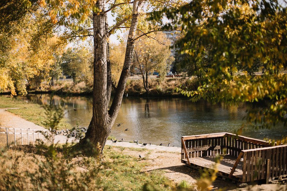 Фотография автора Evgeniya Nefyodova