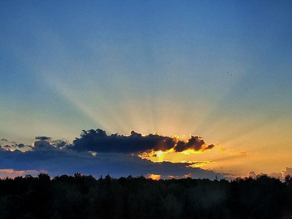 Photograph by Ирина