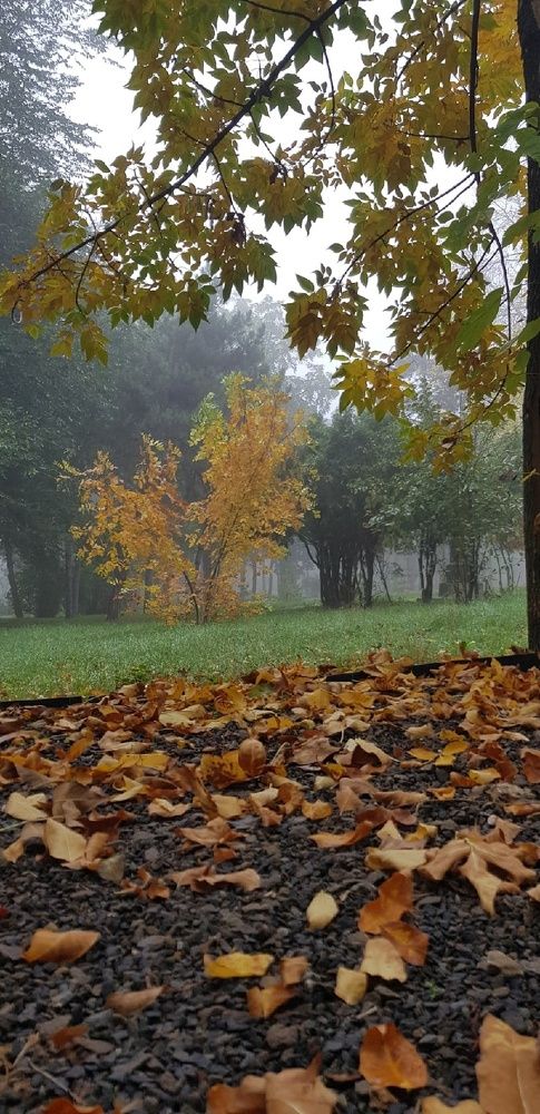 Фотография автора Ольга Мусина