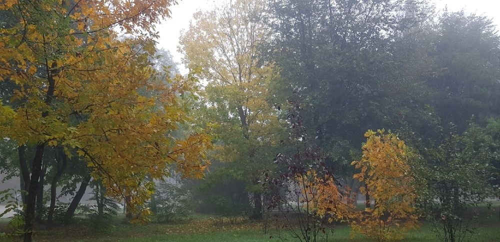 Фотография автора Ольга Мусина