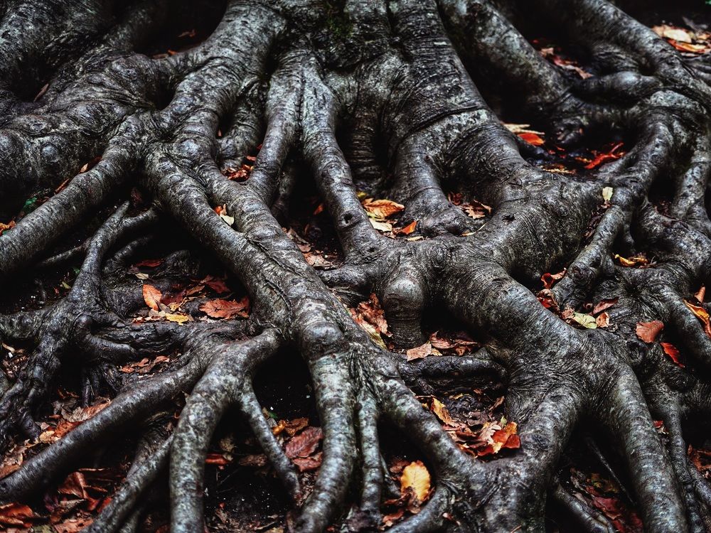 Photograph by Екатерина Клюваченко