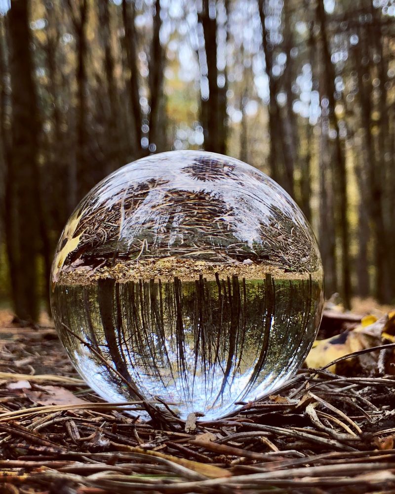 Photograph by Halina Mitsevich