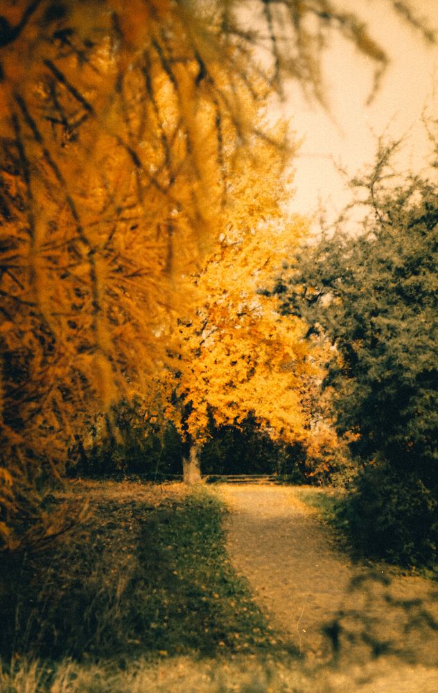 Photograph by Юлия Галлямова