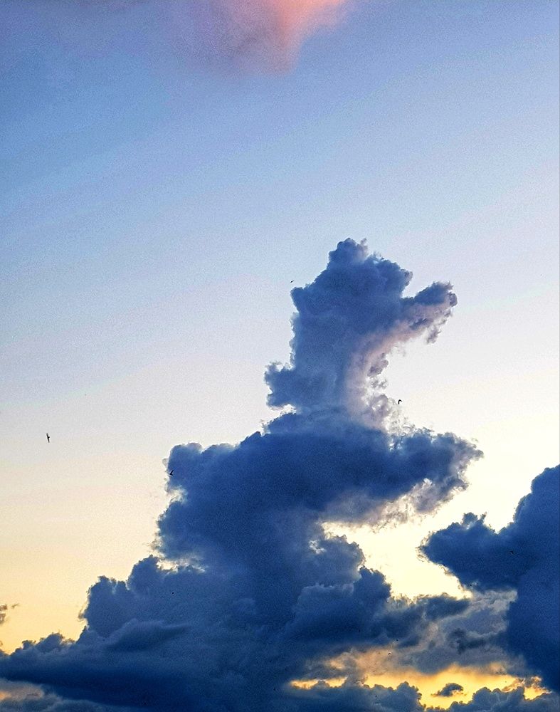 Photograph by Алла Никушкина