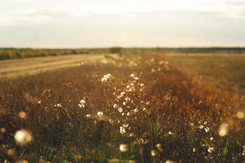 Photograph by Евгения Гловацкая