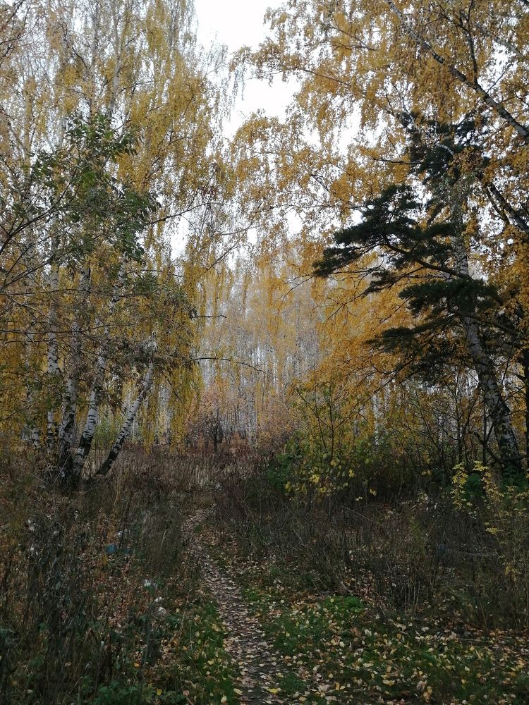 Photograph by Наталия