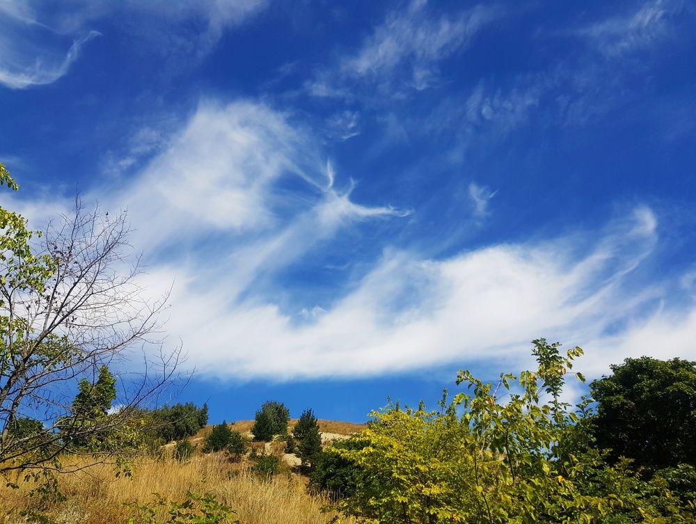 Photograph by Алла Никушкина