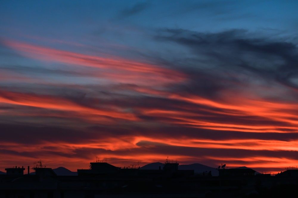 Photograph by Teresa Molinaro