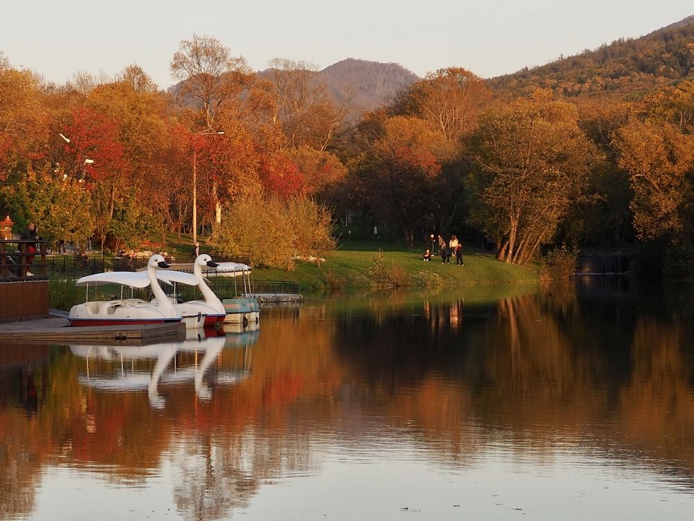 Лебеди на закате