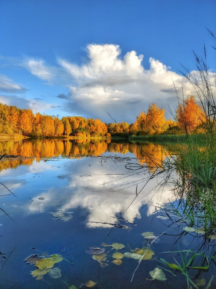 Photograph by Владимир Шаруба