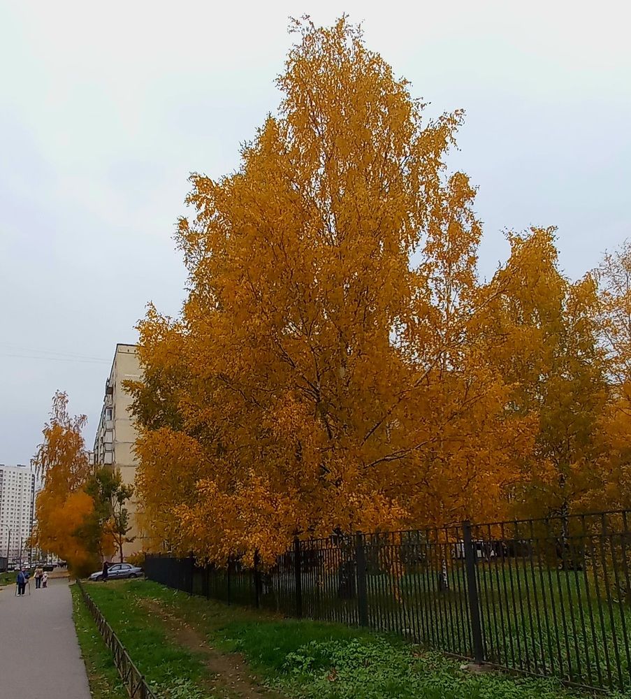 Photograph by Каковкина Ольга