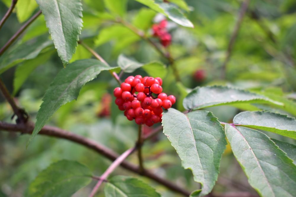 Photograph by Любовь Панфилова