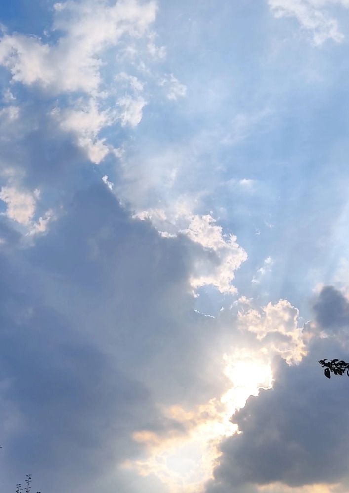 Photograph by Мирошниченко Фаина