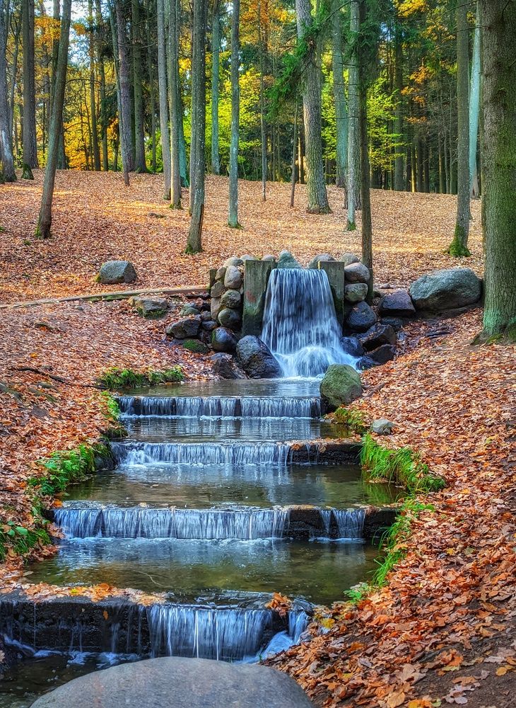 Photograph by Владимир Шаруба