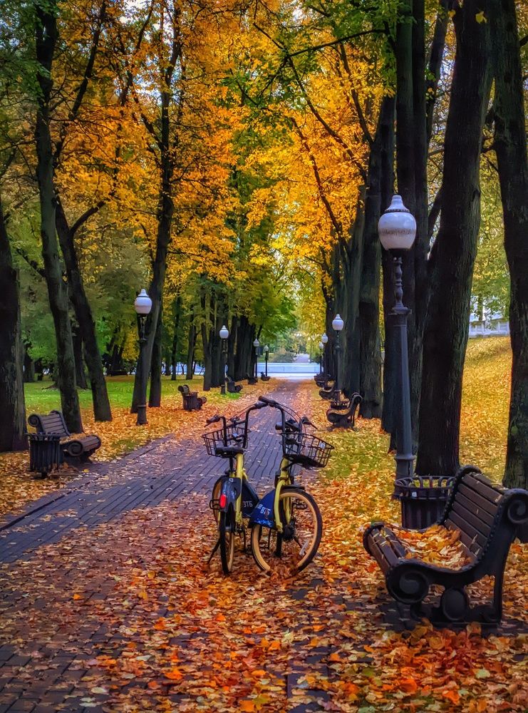 Photograph by Владимир Шаруба