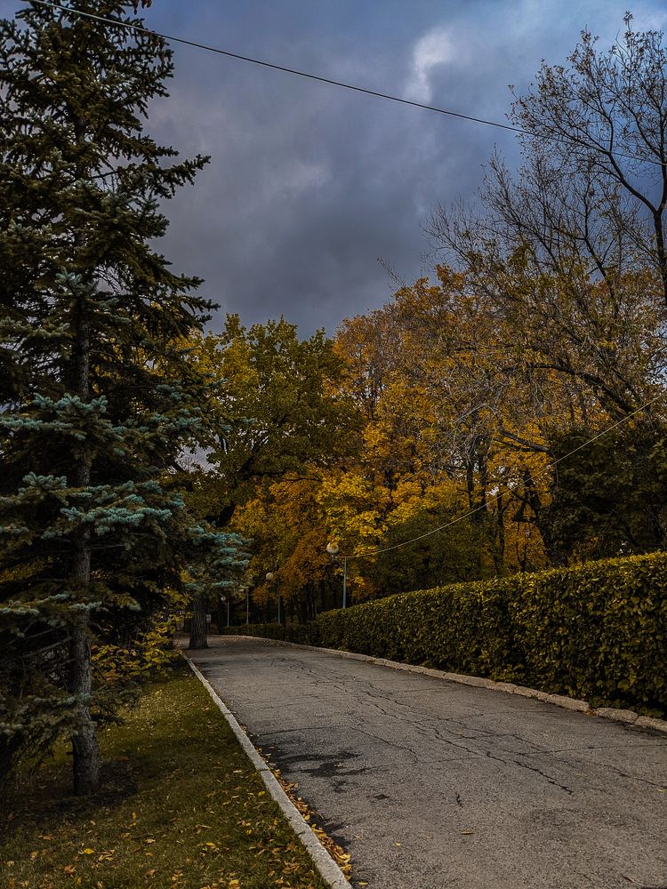 Photograph by Анна