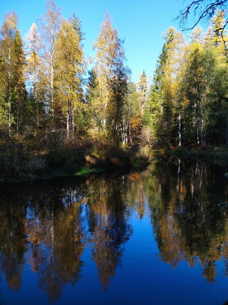 Photo #8196391