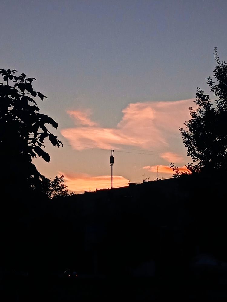 Птица счастья