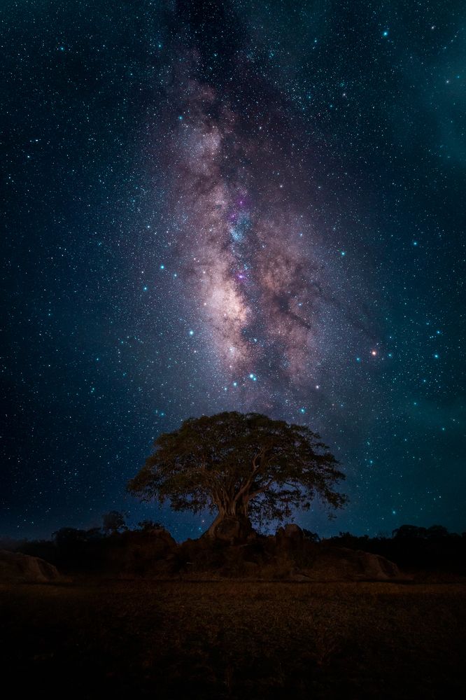 Фотография автора Amal Prasad