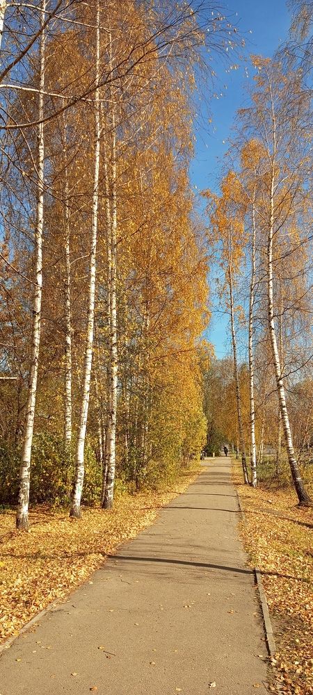 Photograph by Худобина Галина Анатольевна