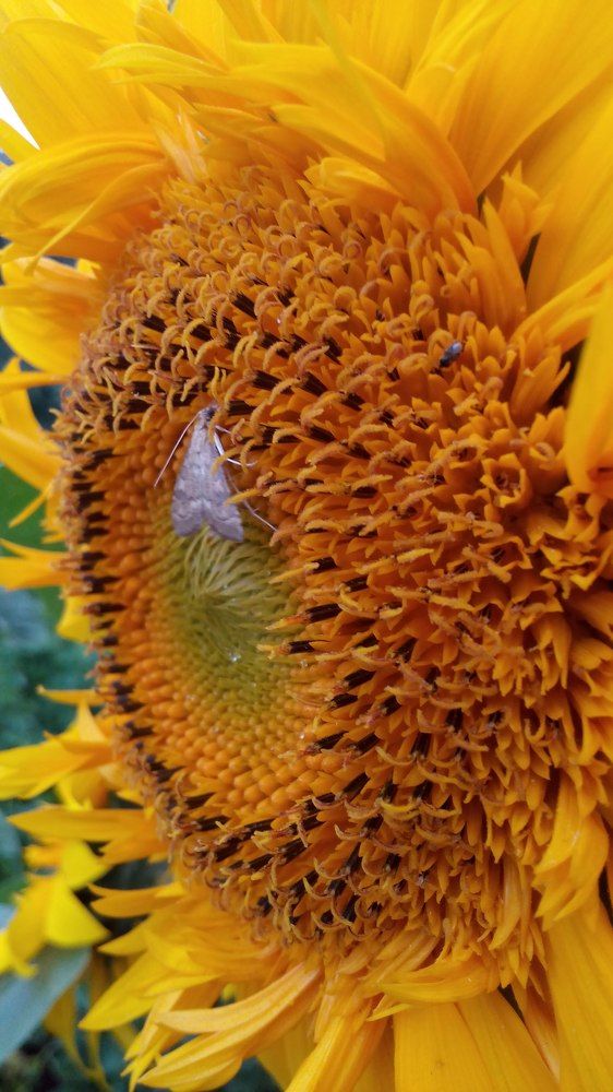 Photograph by Худобина Галина Анатольевна