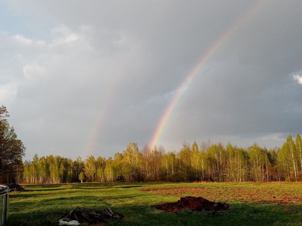 Photograph by Михаил Царикевич