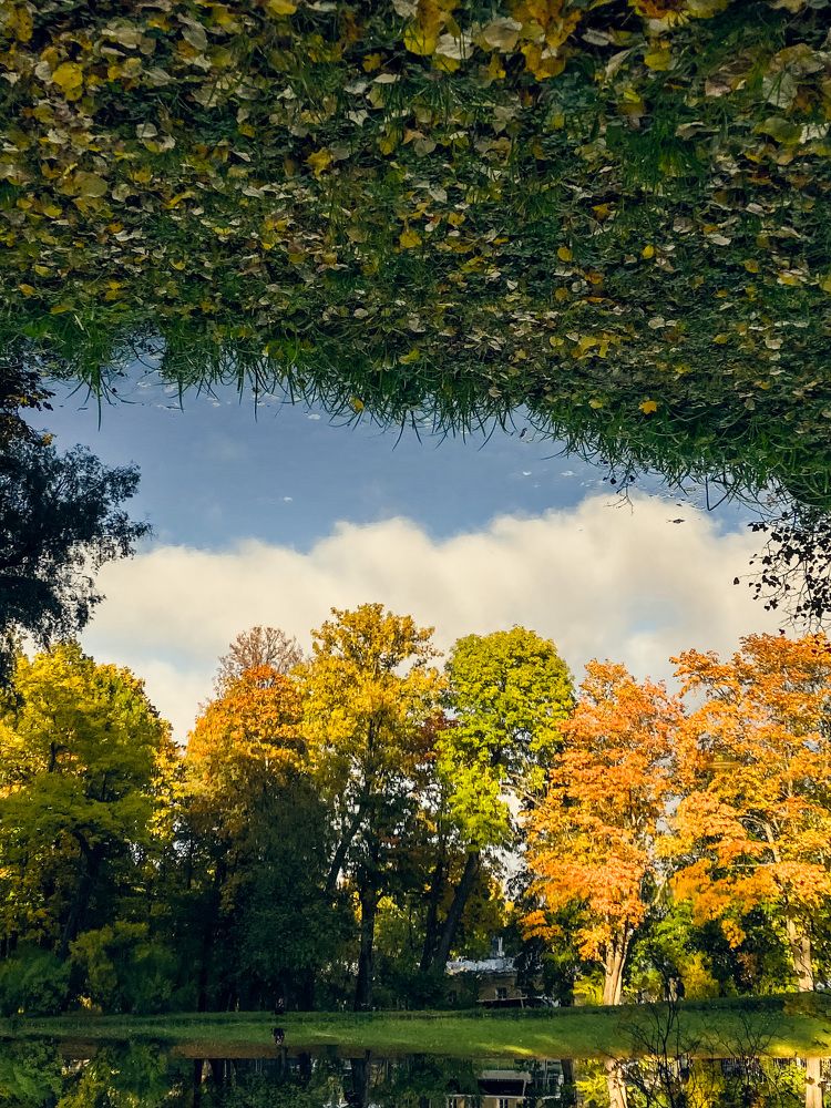 Photograph by Дарья Афанасьева