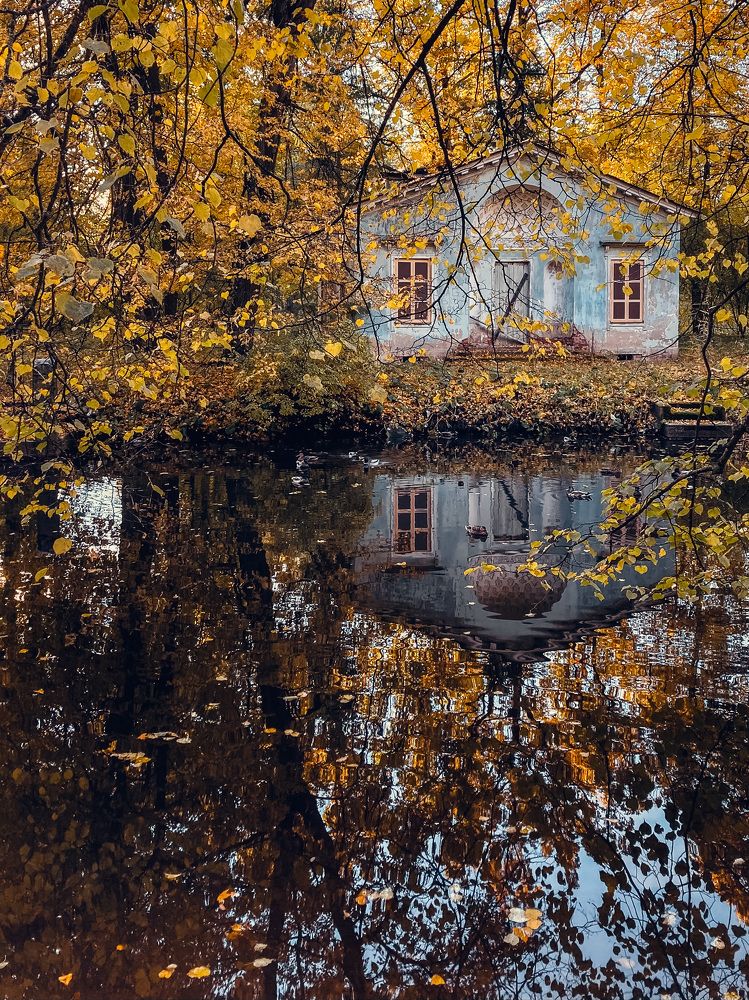 Photograph by Дарья Афанасьева