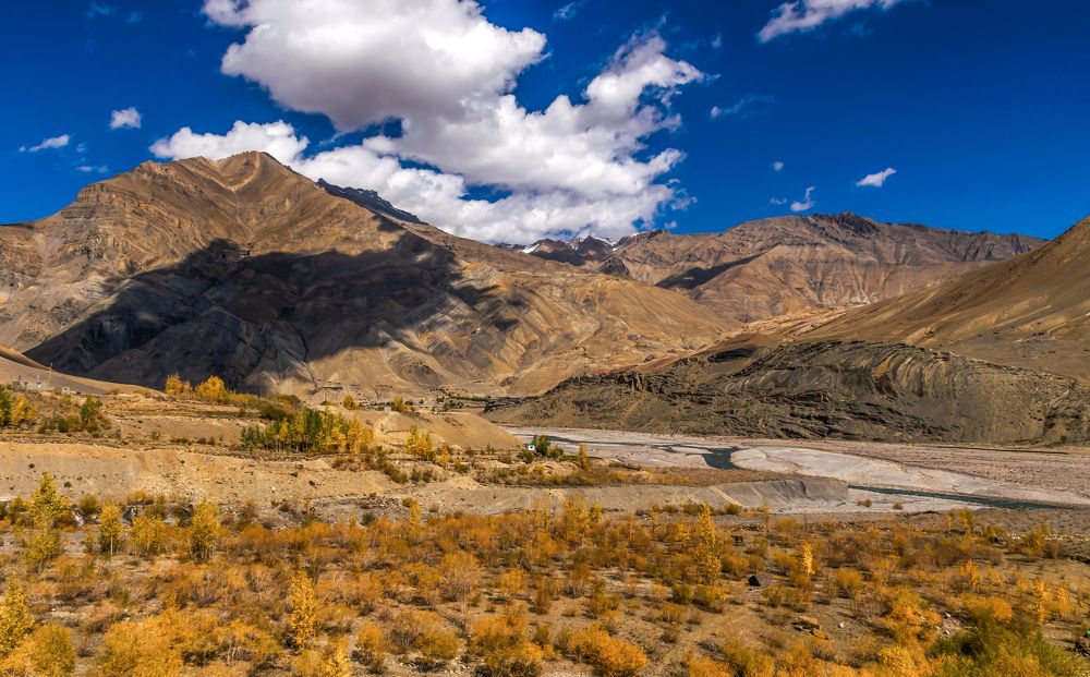 Photograph by ARANYA KAR