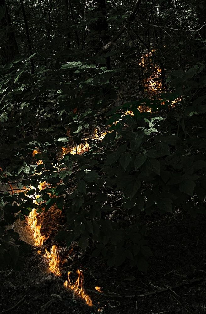 Огненный змей