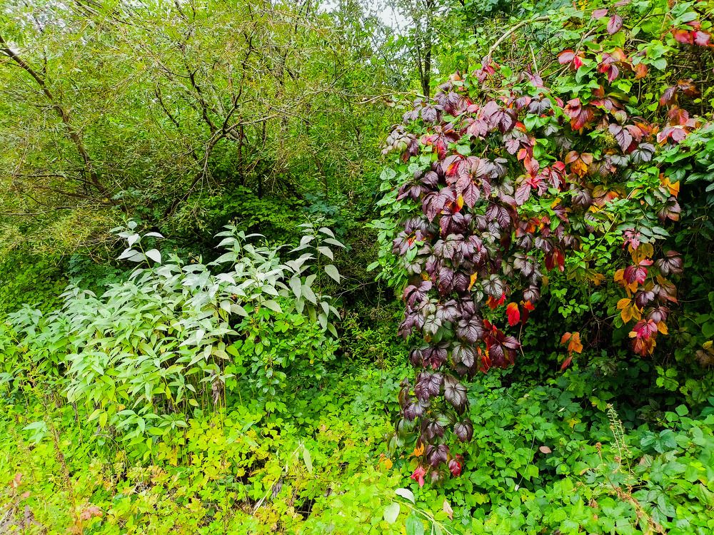 Photograph by Олег Башкуров