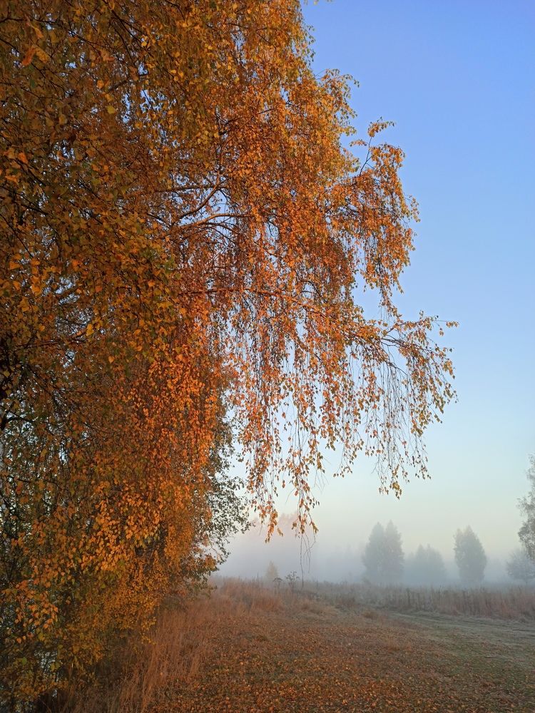 Photograph by Eлена Смирнова