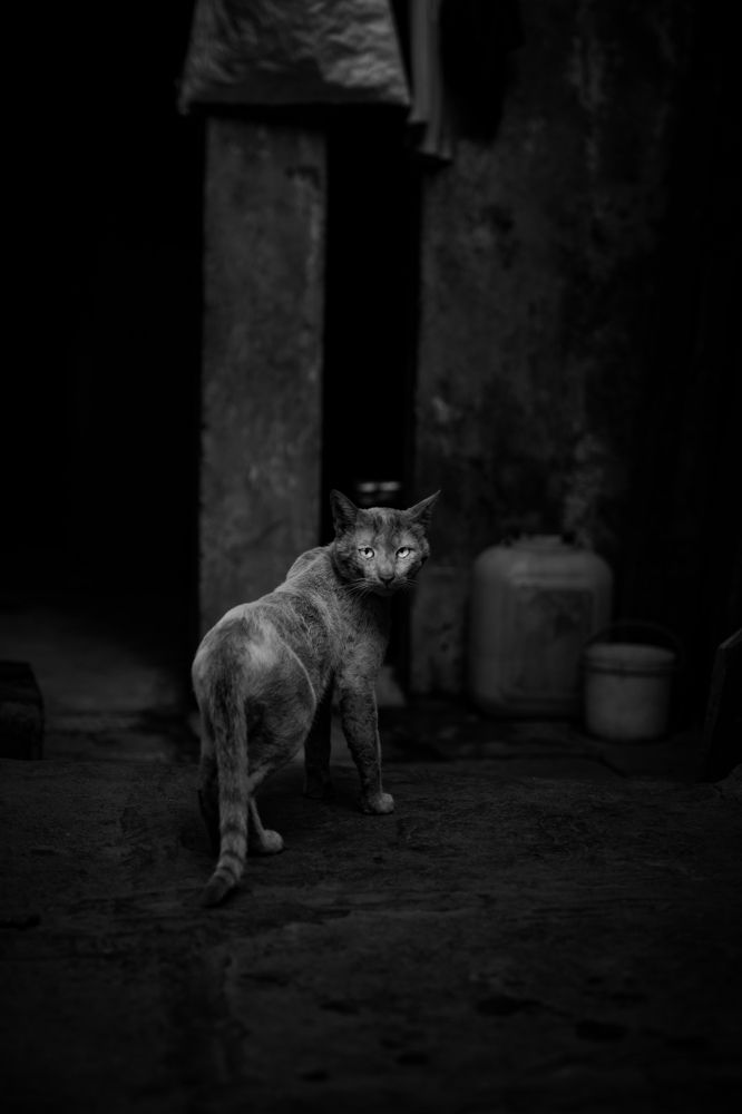 Photograph by Samyak Soni