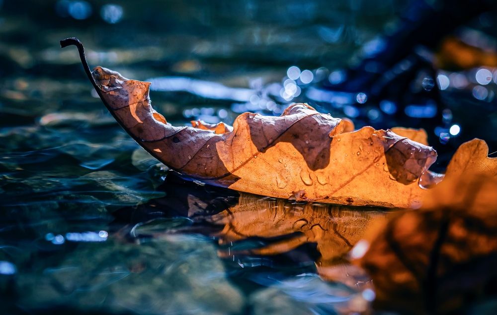 Фотография автора Helena Ivanova