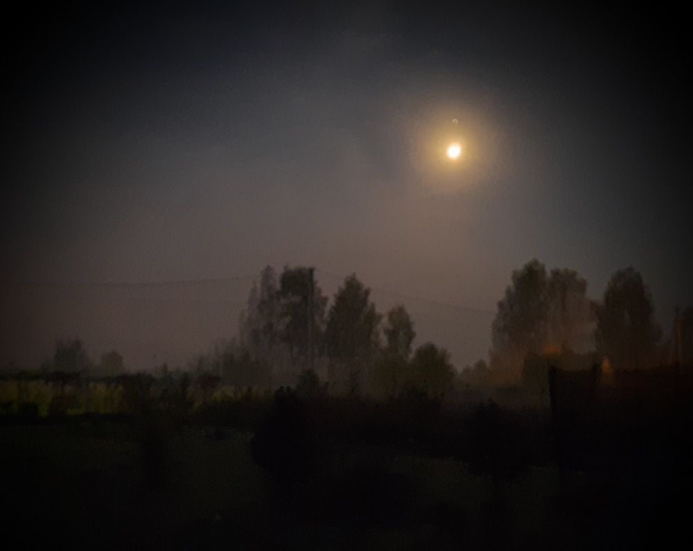 Photograph by Михаил Трусов