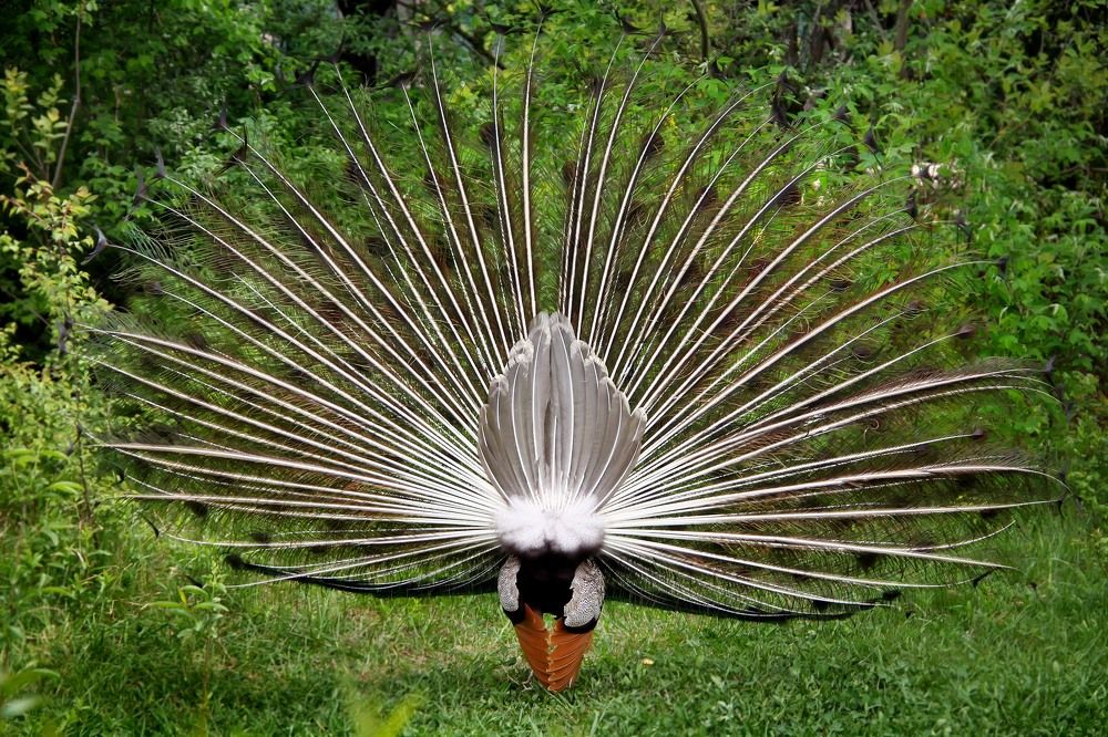 Photograph by Юлия Клименко