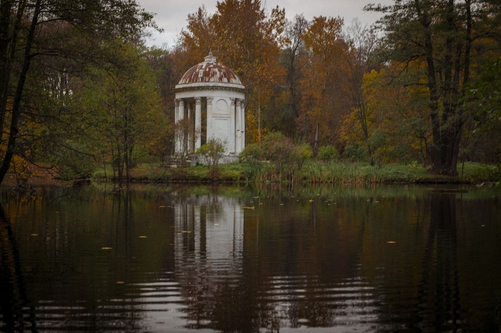 Photograph by Roman Adler