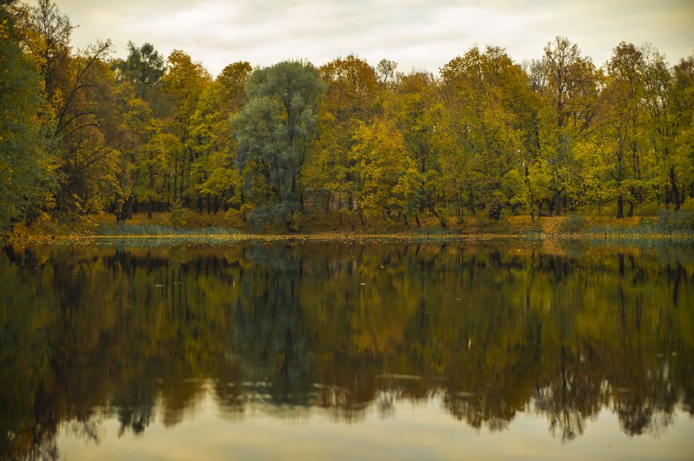 Photograph by Roman Adler