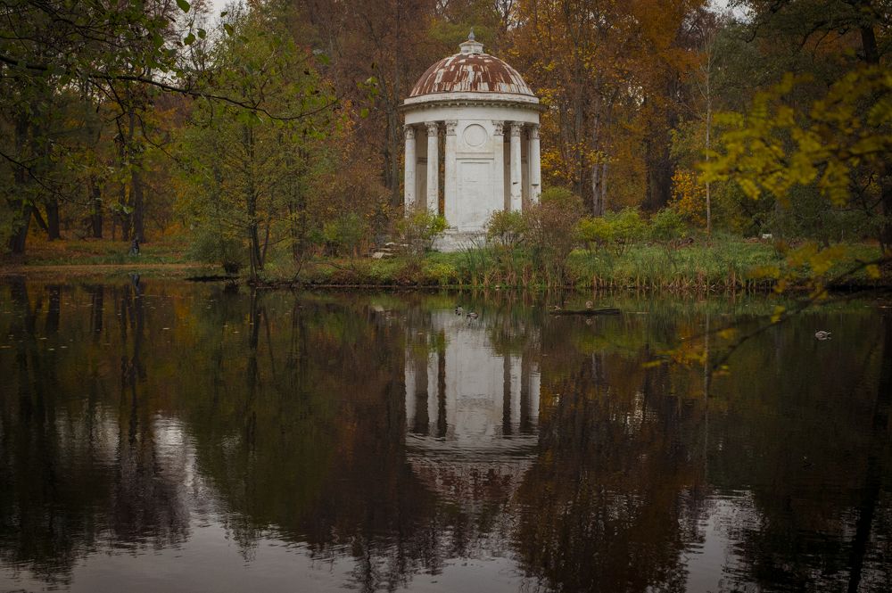 Photograph by Roman Adler