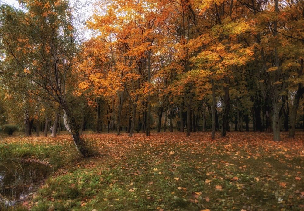 Photograph by Андрей Ныриков