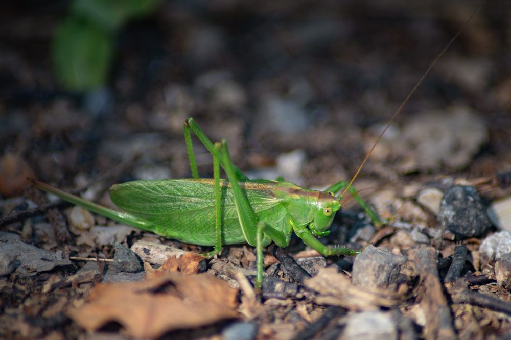 Photograph by Екатерина Абросова
