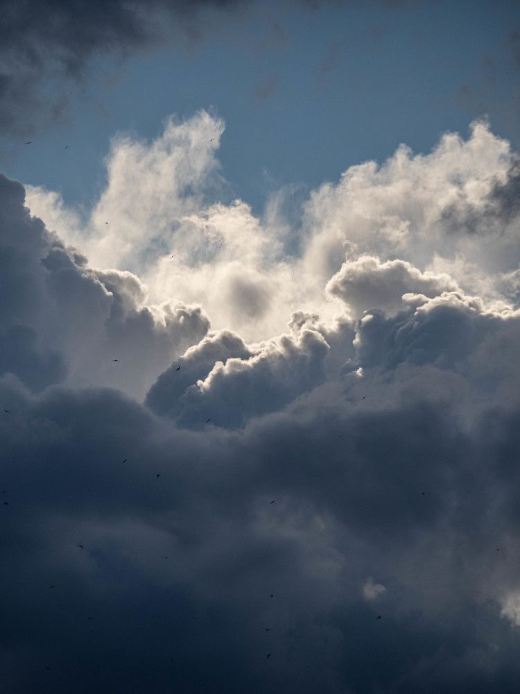 Photograph by Доляна Ашкова