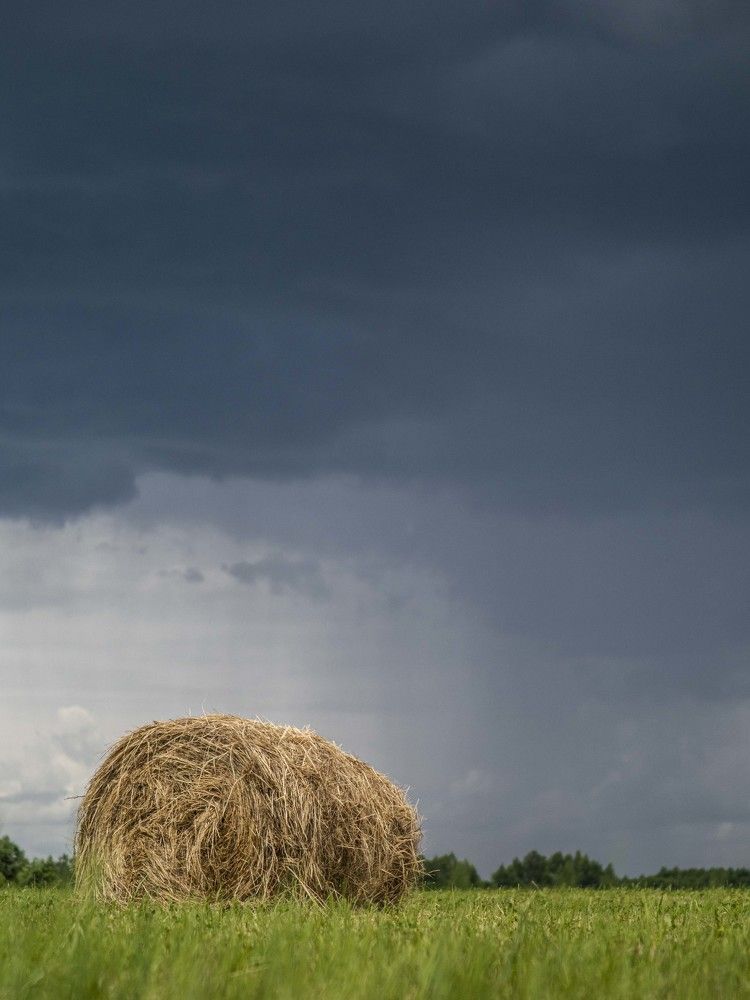 Photograph by Доляна Ашкова