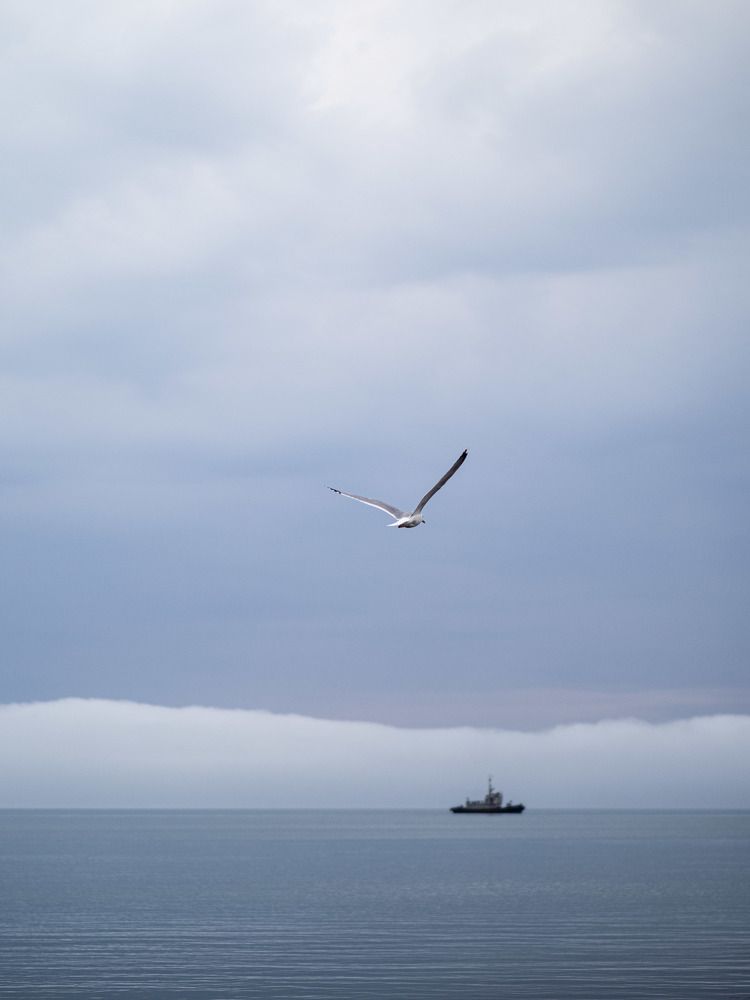 Photograph by Доляна Ашкова