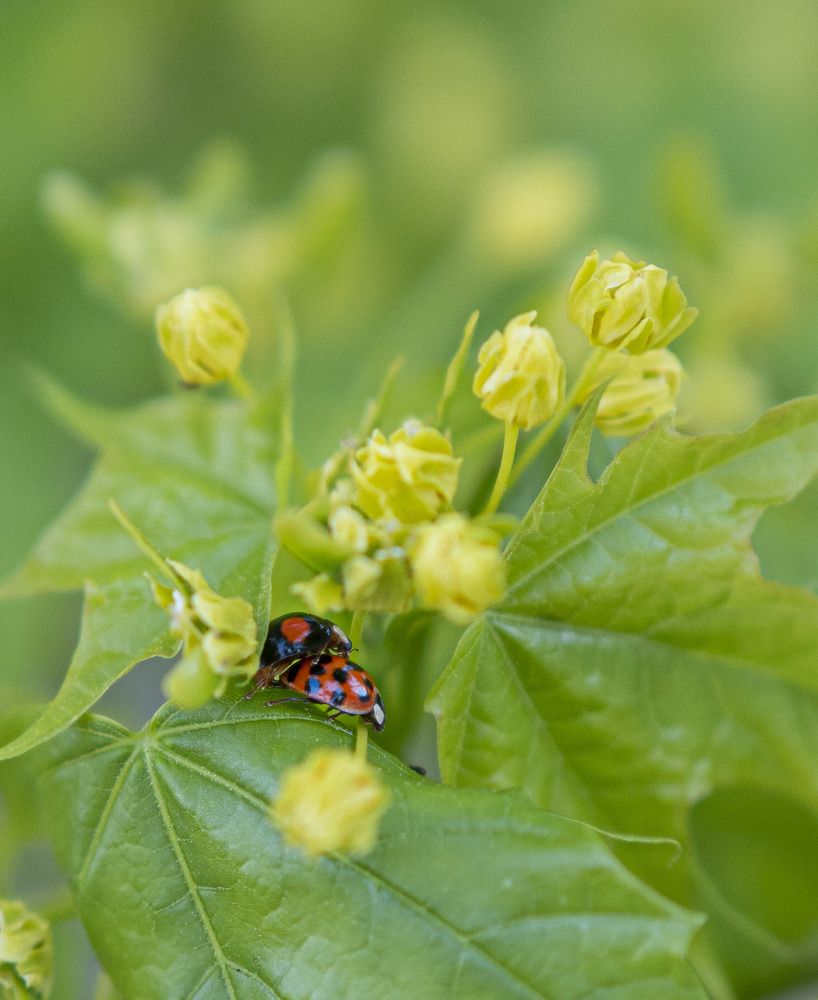 Photograph by Доляна Ашкова