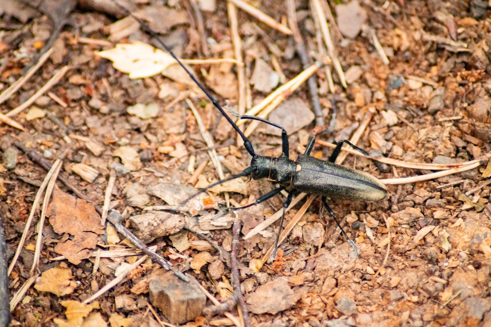 Photograph by Екатерина Абросова